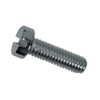 Винт с цилиндрической головкой и прямым шлицем М1,2х10 DIN 84 нержавеющая сталь А2